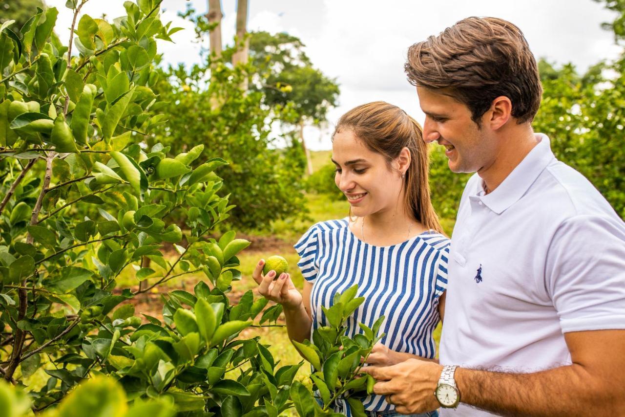 Отель Hacienda Uxmal Plantation & Museum Экстерьер фото