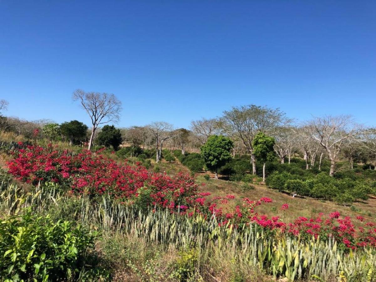Отель Hacienda Uxmal Plantation & Museum Экстерьер фото